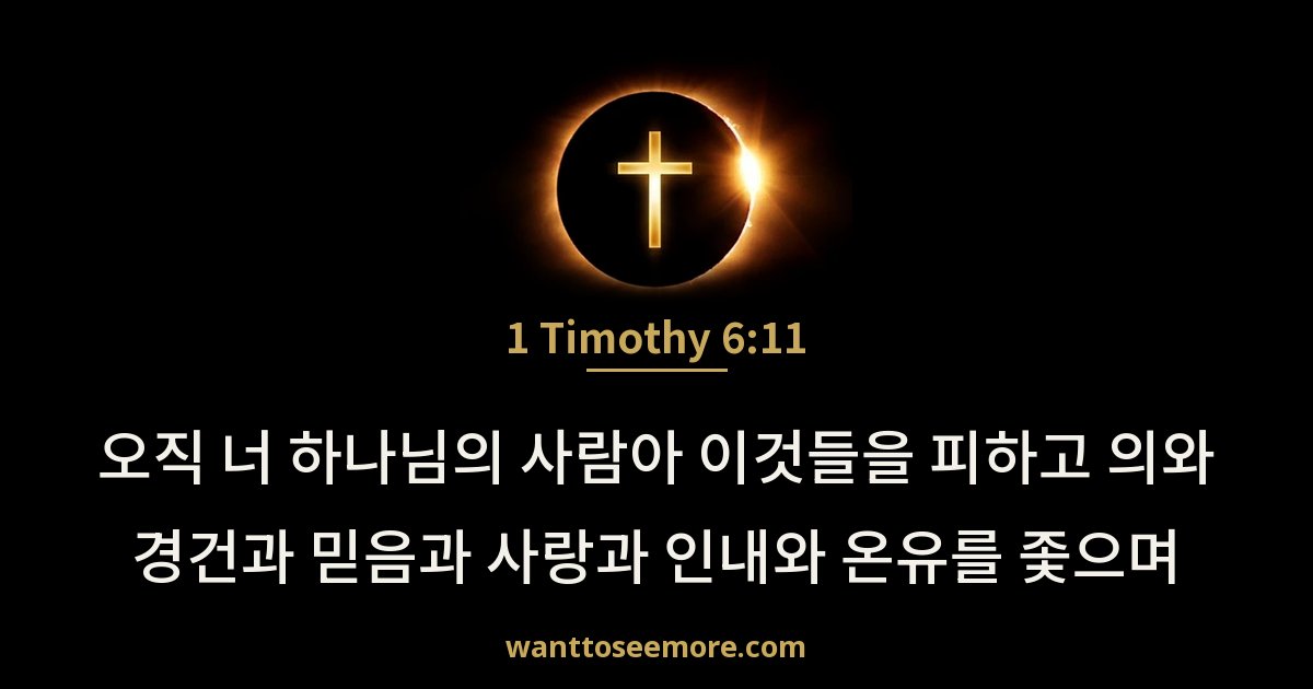 1 Timothy 6:11