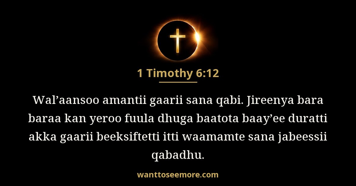 1 Timothy 6:12