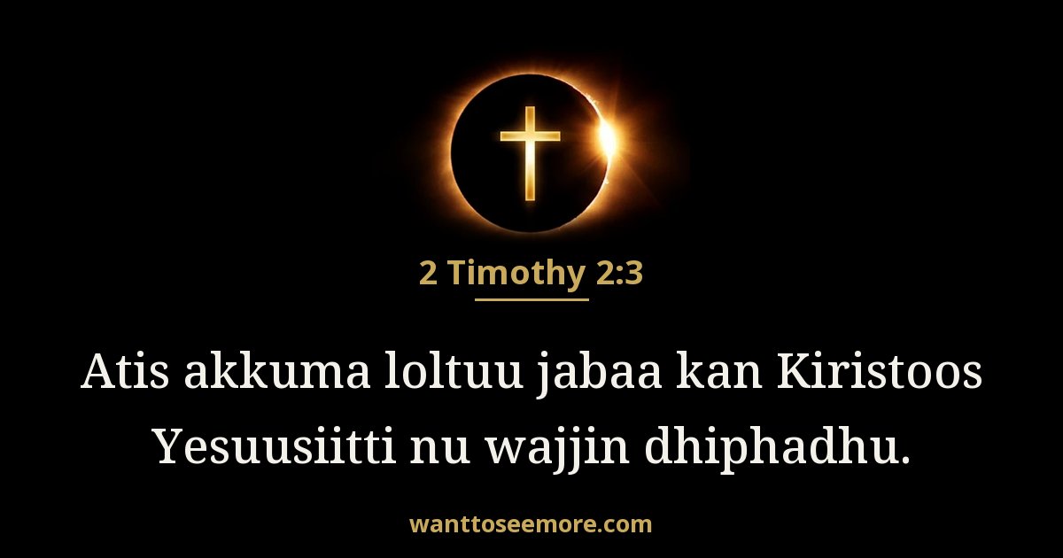2 Timothy 2:3