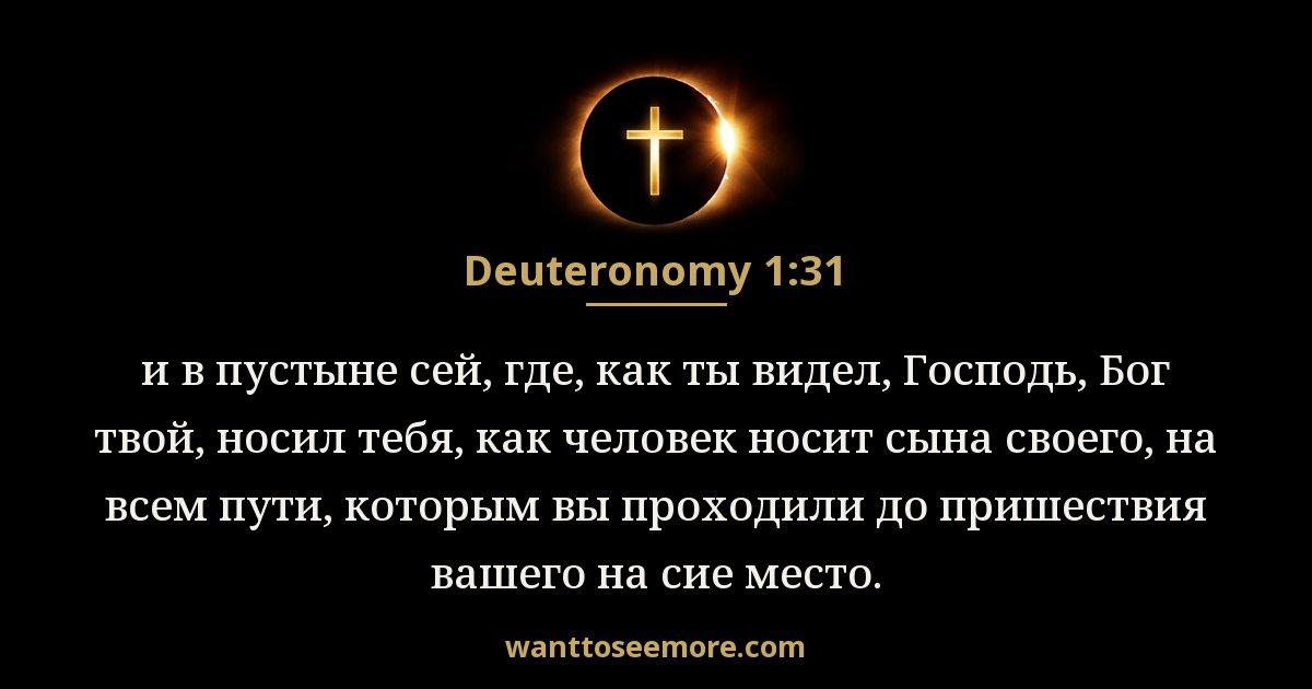 Deuteronomy 1:31