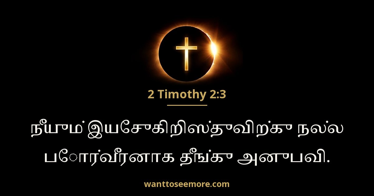 2 Timothy 2:3