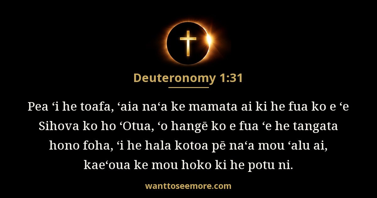 DEU 1:31