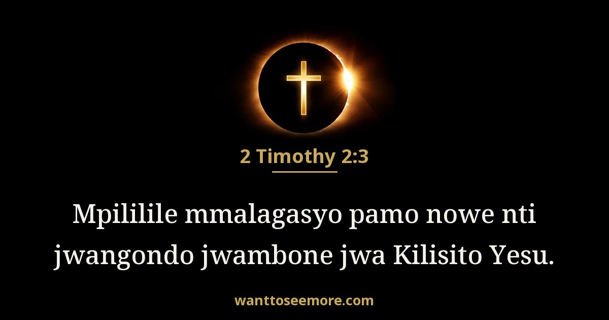 2 Timothy 2:3