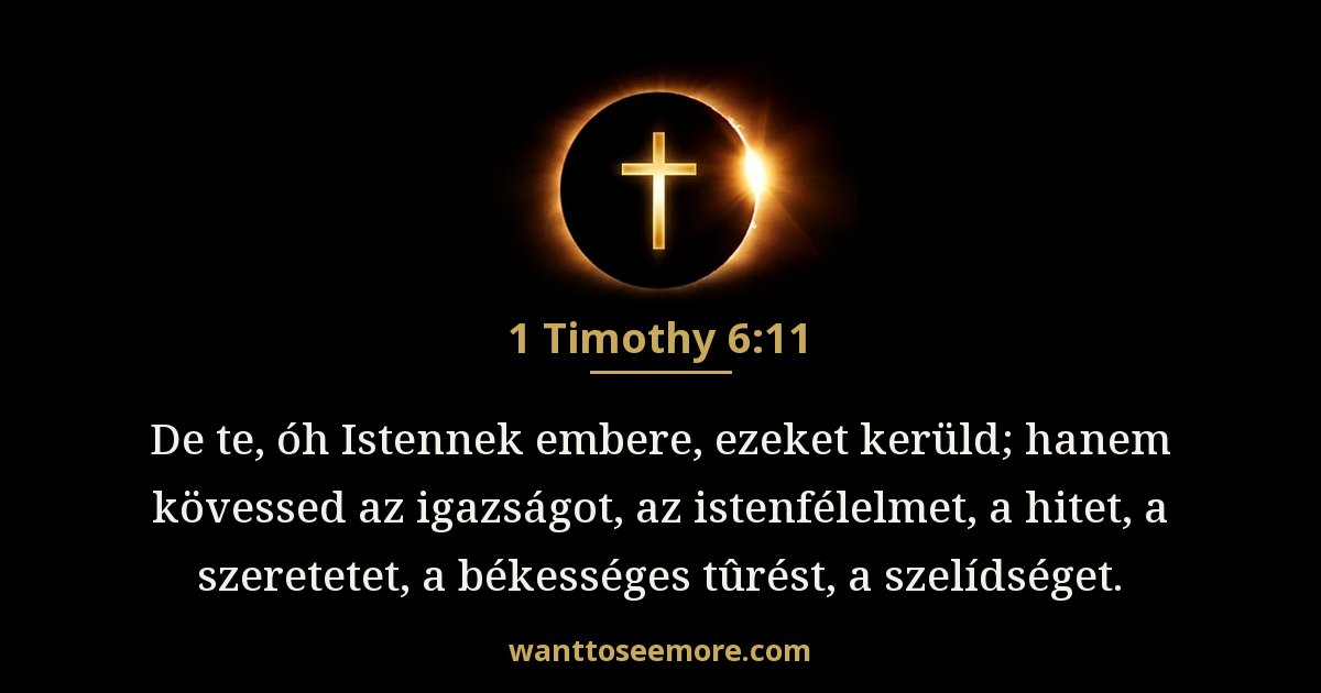 1 Timothy 6:11