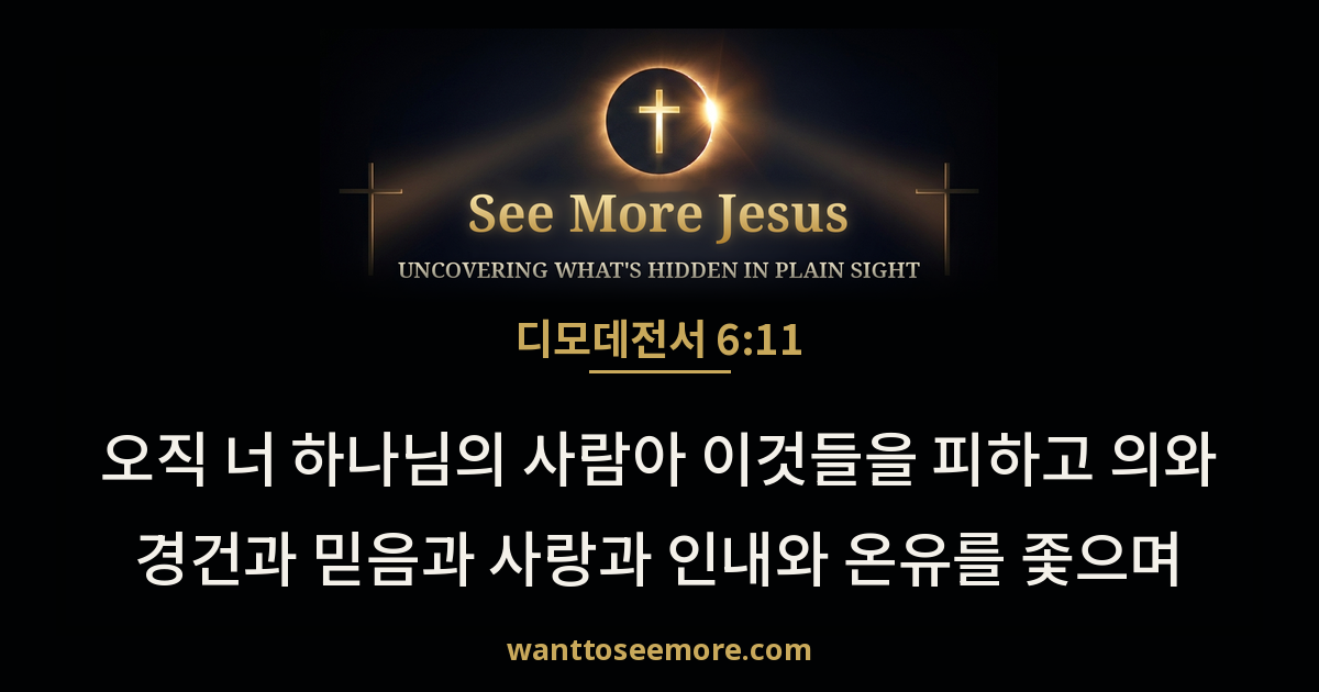 디모데전서 6:11