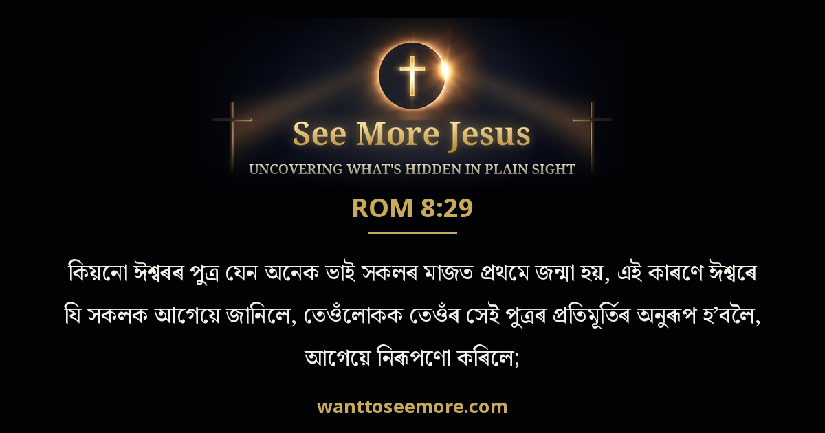 Romans 8:29