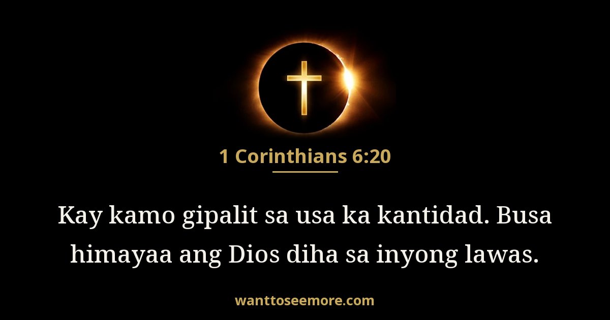 1 Corinthians 6:20