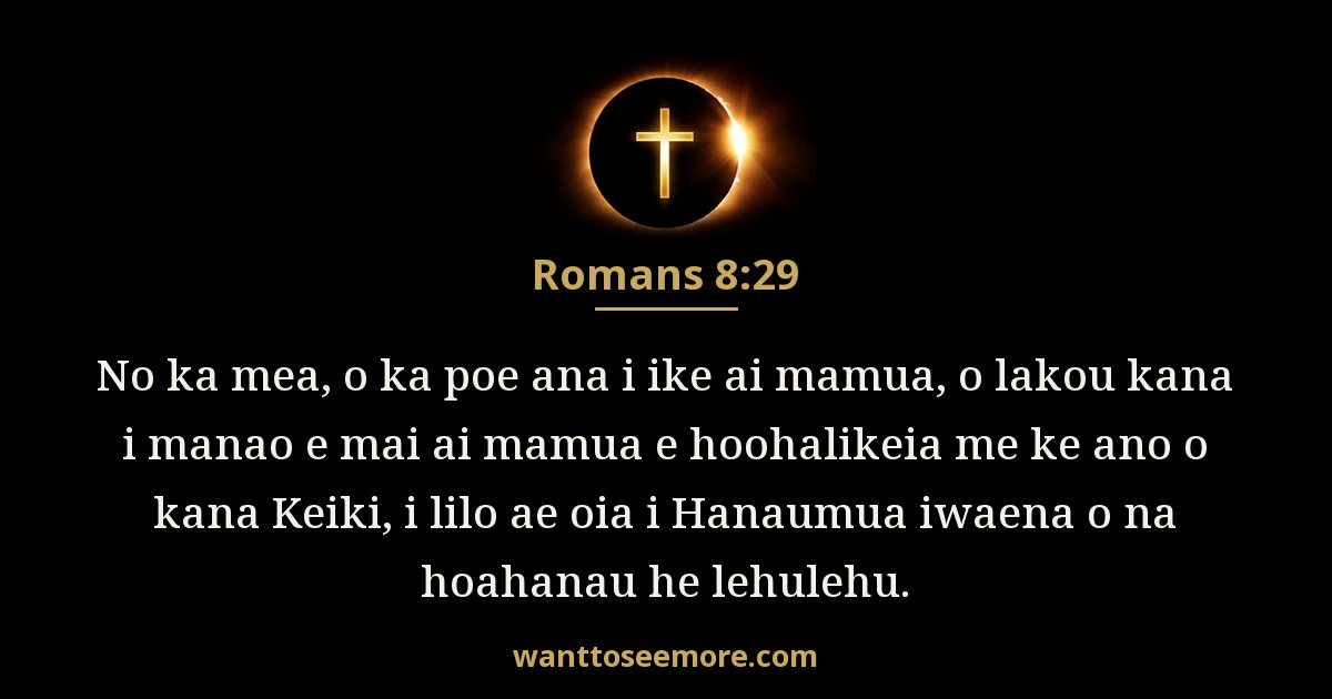 Romans 8:29