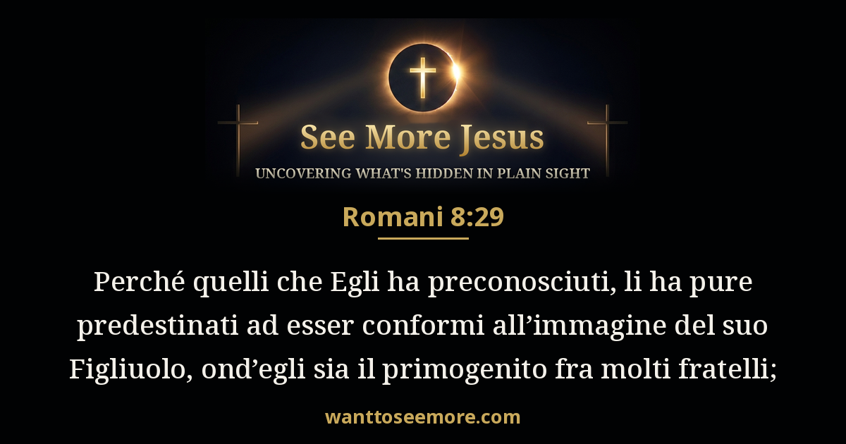 Romans 8:29