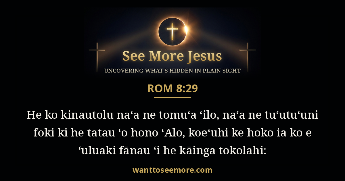 Romans 8:29