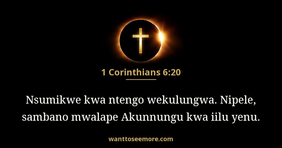 1 Corinthians 6:20