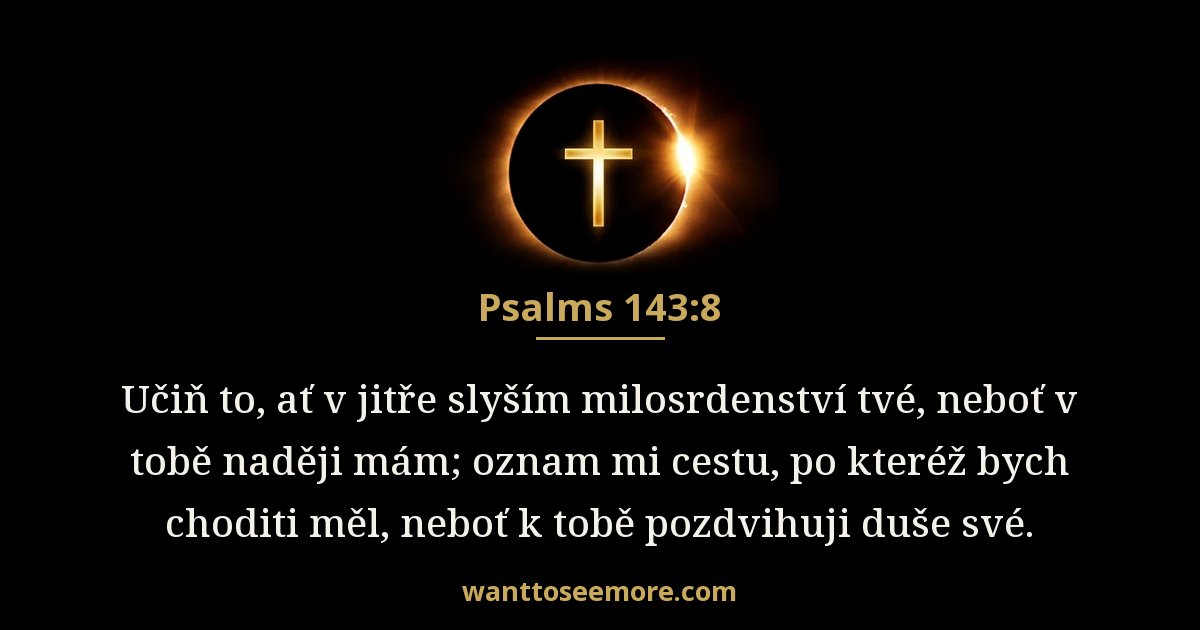 Psalms 143:8