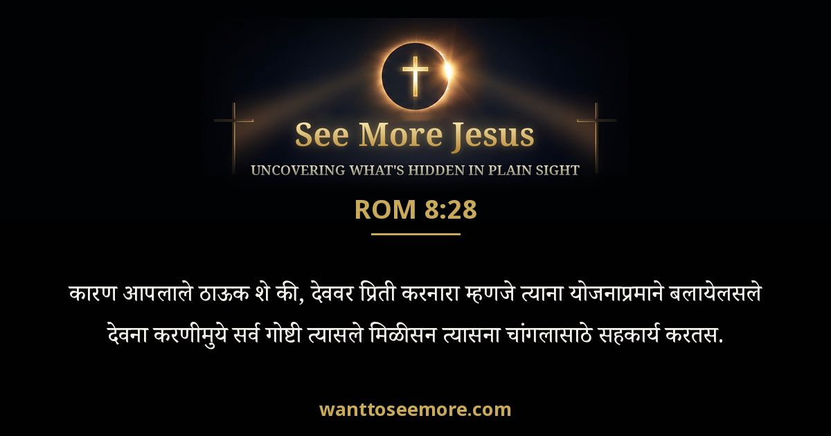 ROM 8:28
