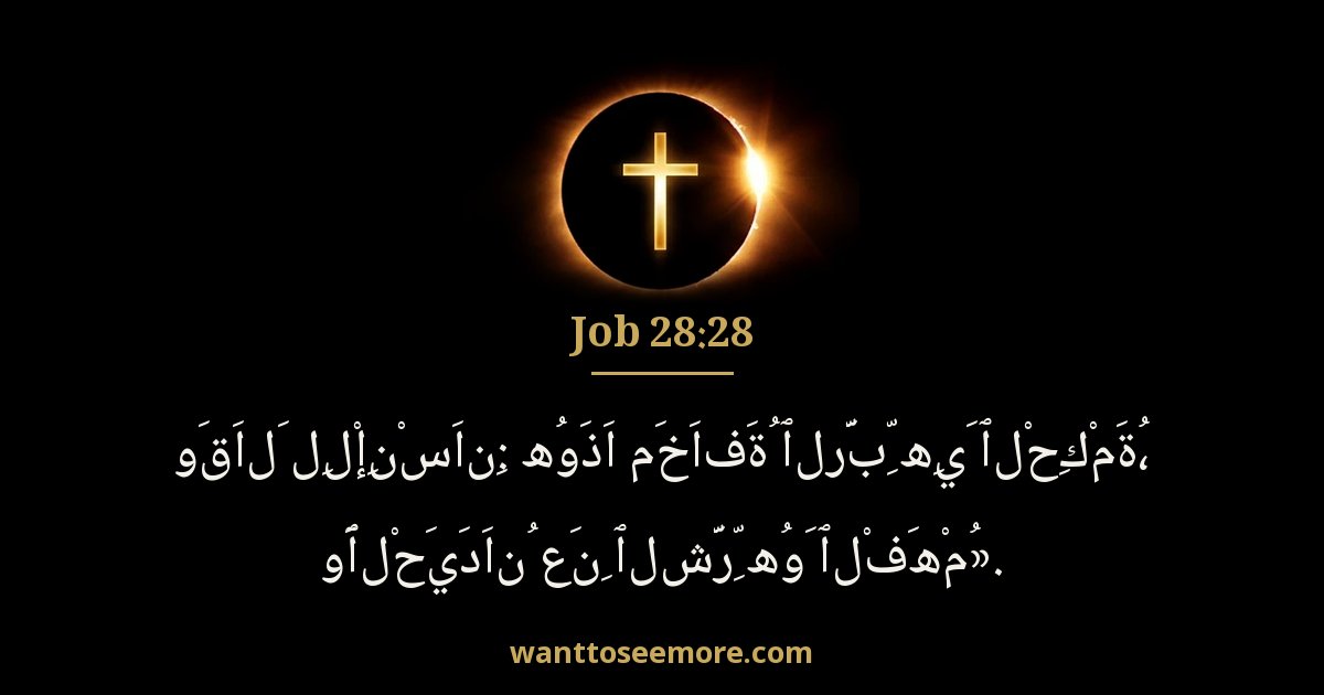 أيوب 28:28
