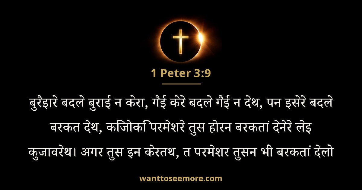 1PE 3:9