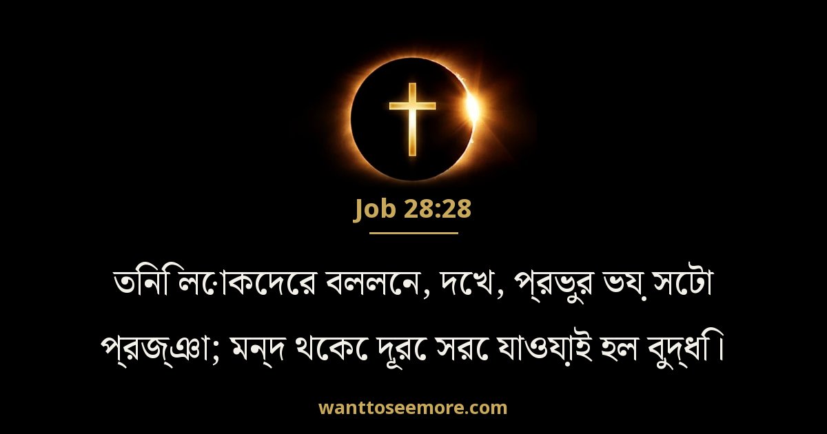 ইয়োব 28:28