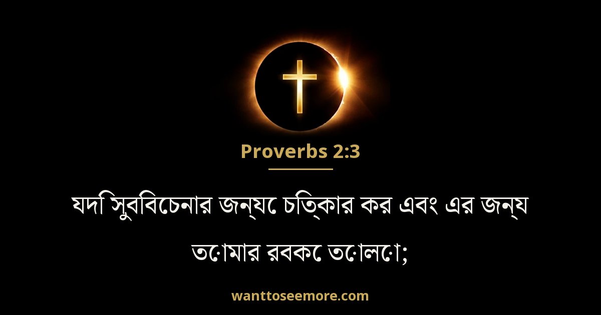 Proverbs 2:3