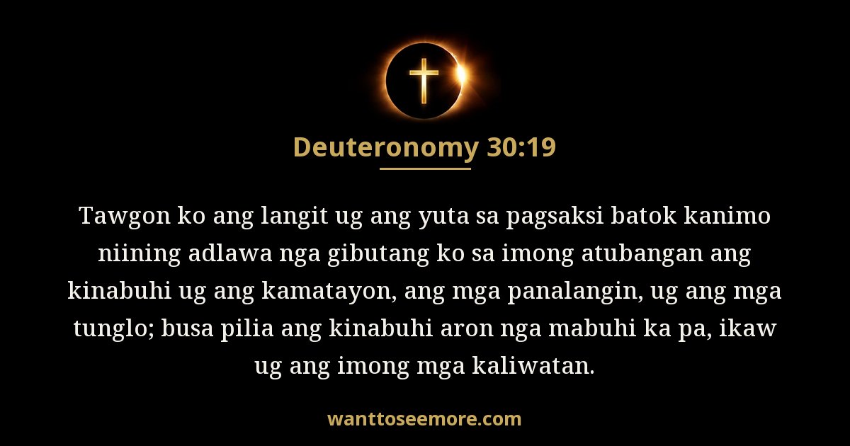 Deuteronomy 30:19