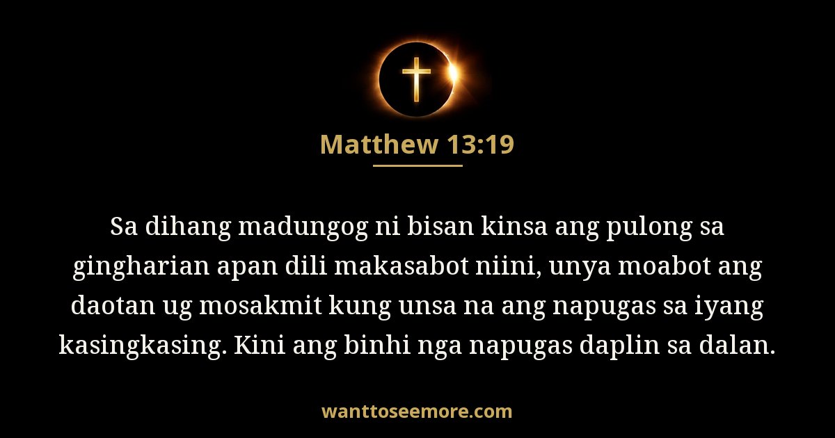 MAT 13:19