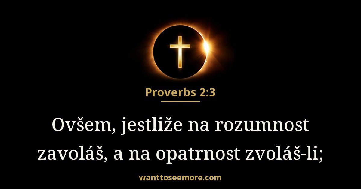Proverbs 2:3