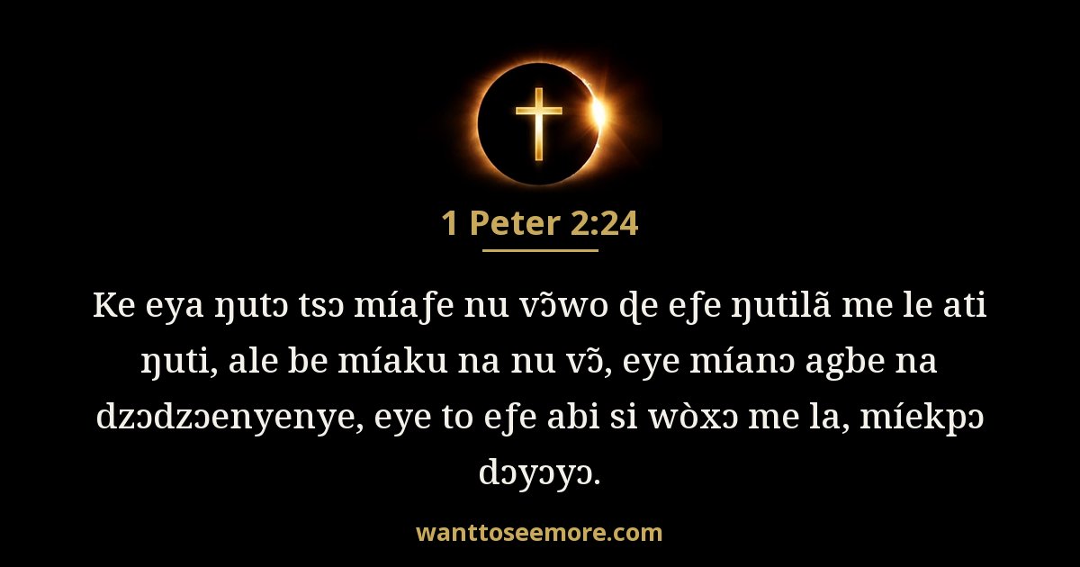 1PE 2:24