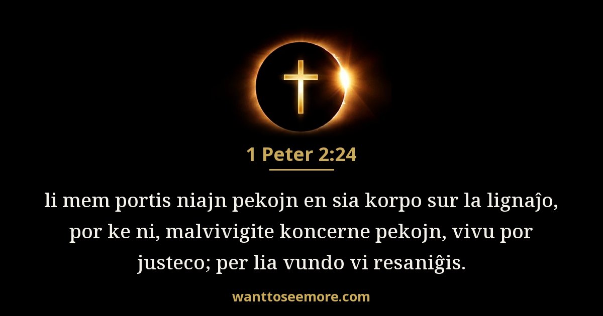 1 Peter 2:24