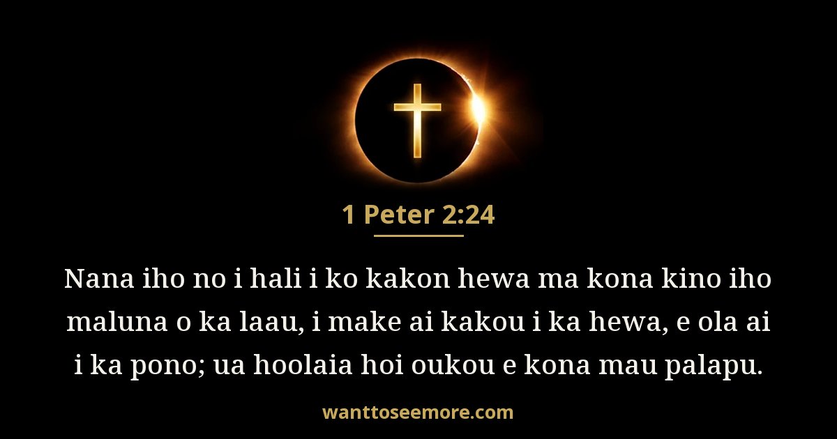 1PE 2:24