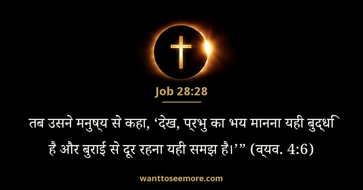 अय्यूब 28:28