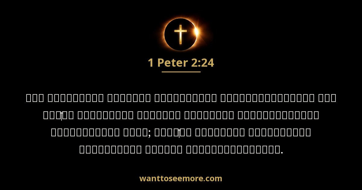 1 Peter 2:24
