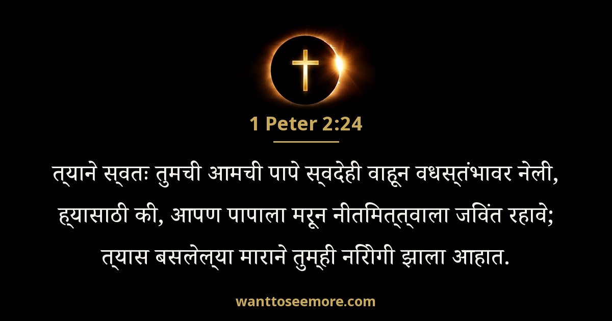 1PE 2:24