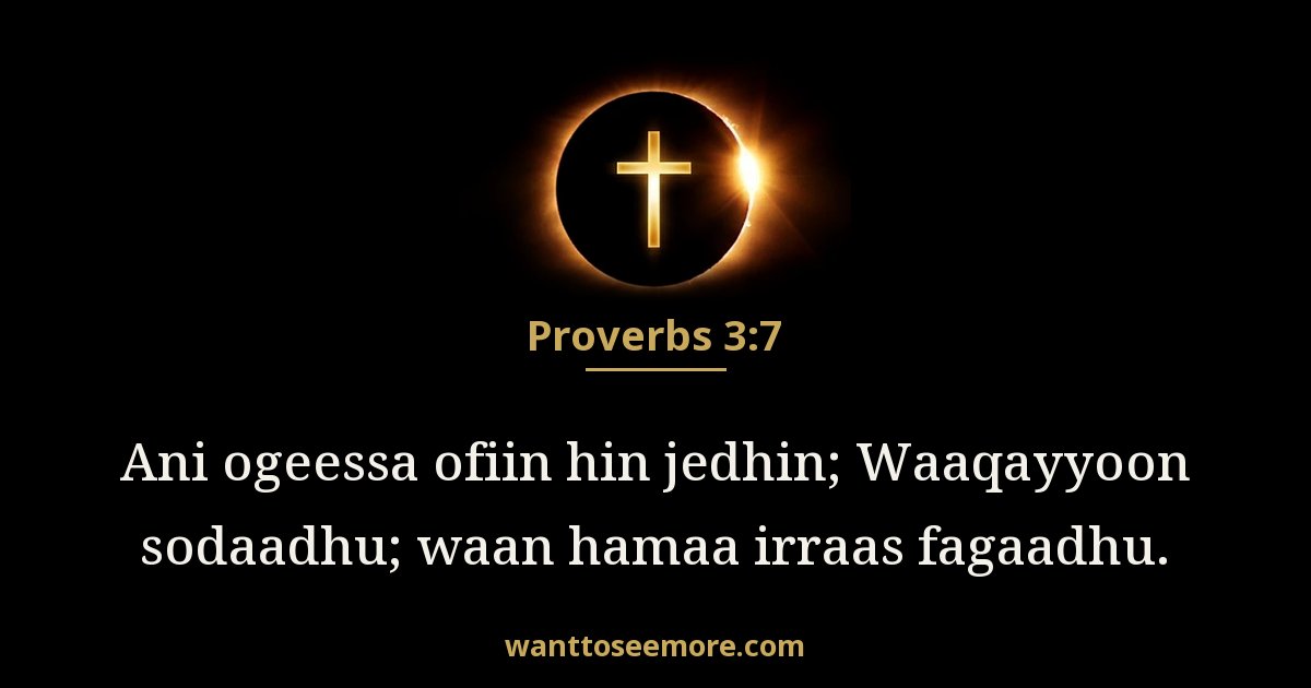 Proverbs 3:7