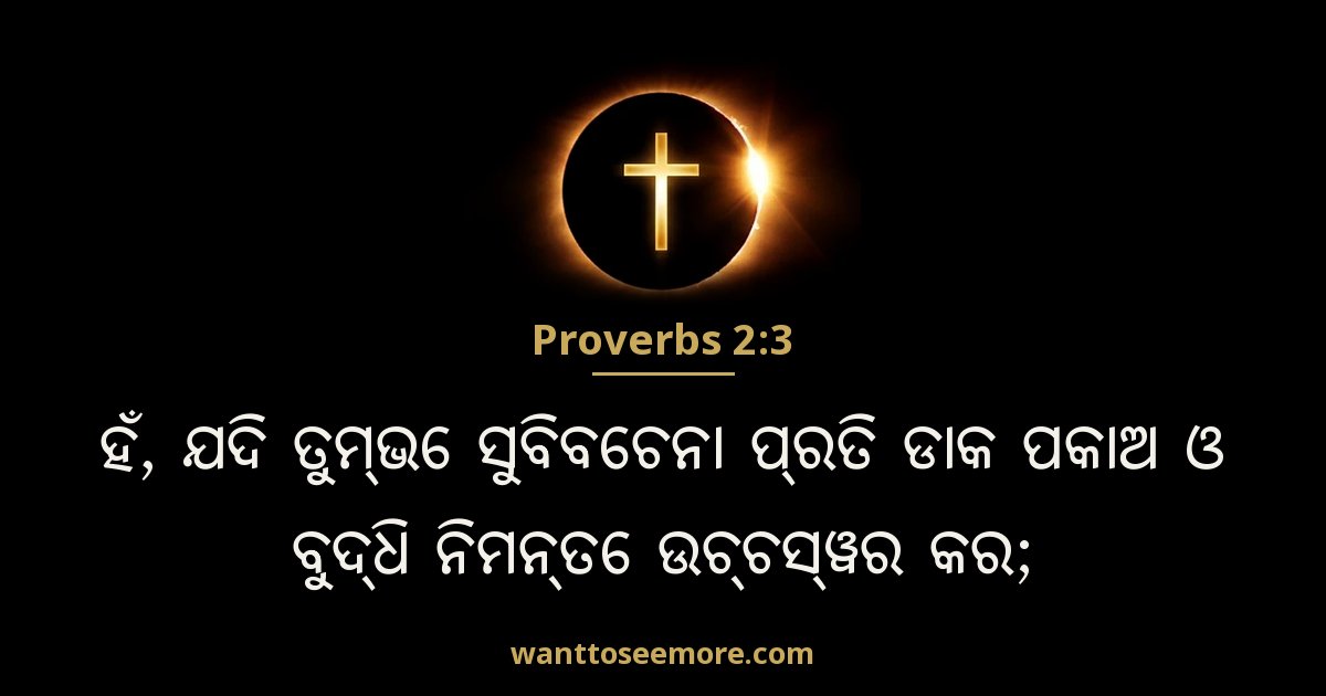 Proverbs 2:3
