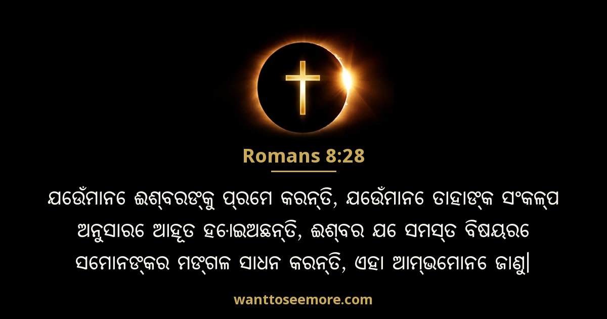 ROM 8:28