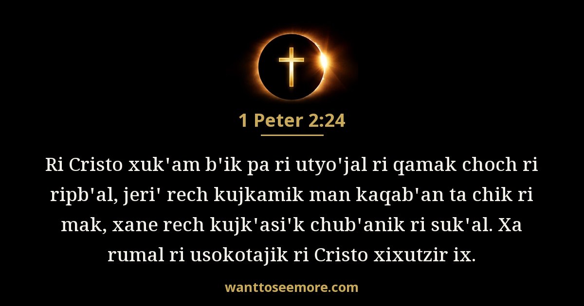 1PE 2:24