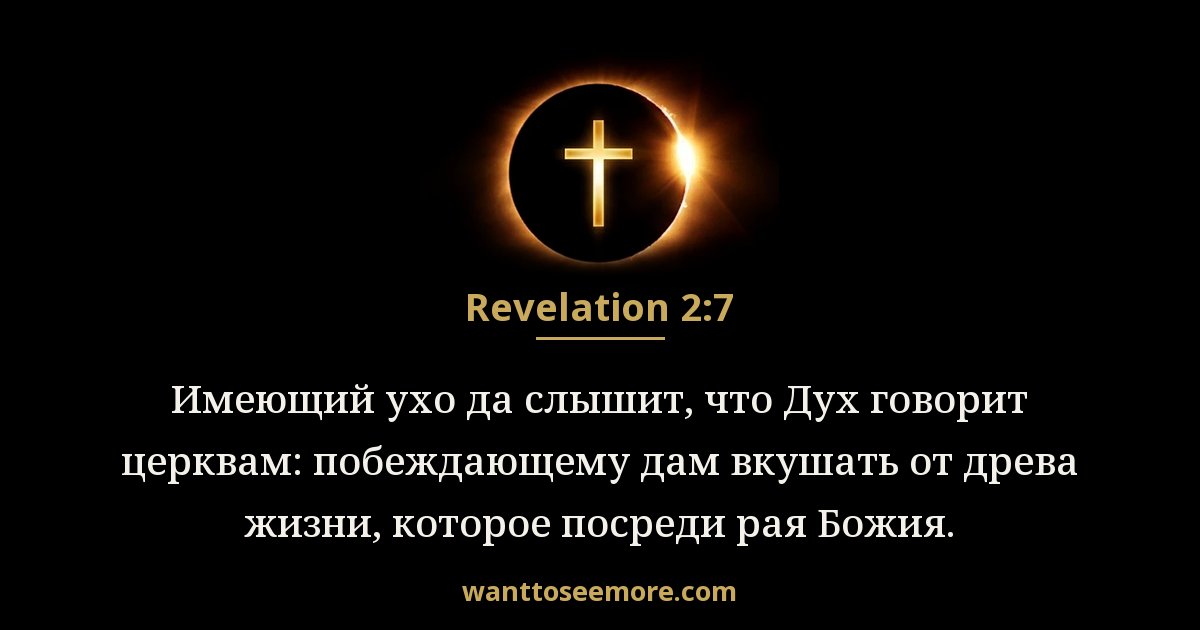 REV 2:7