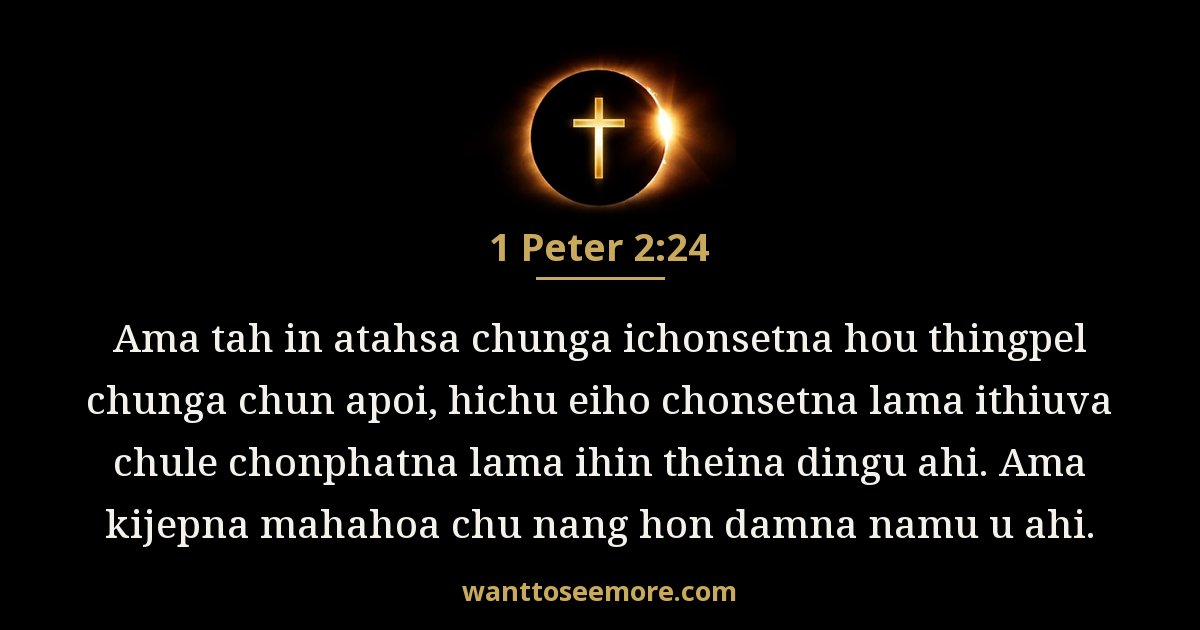 1PE 2:24