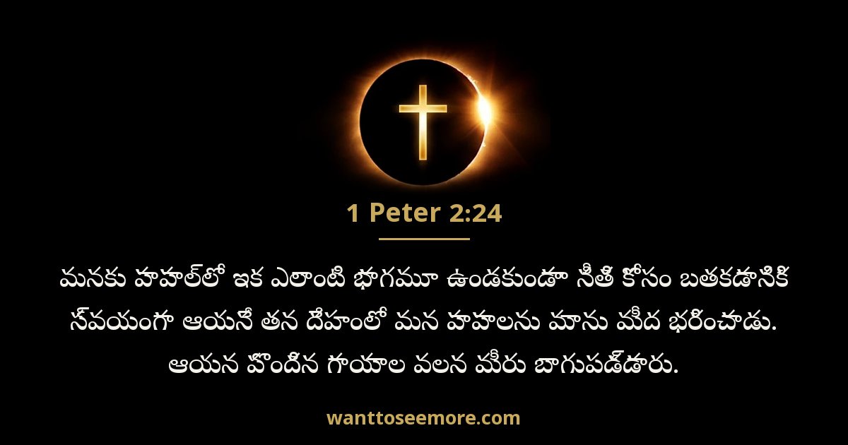 1 Peter 2:24