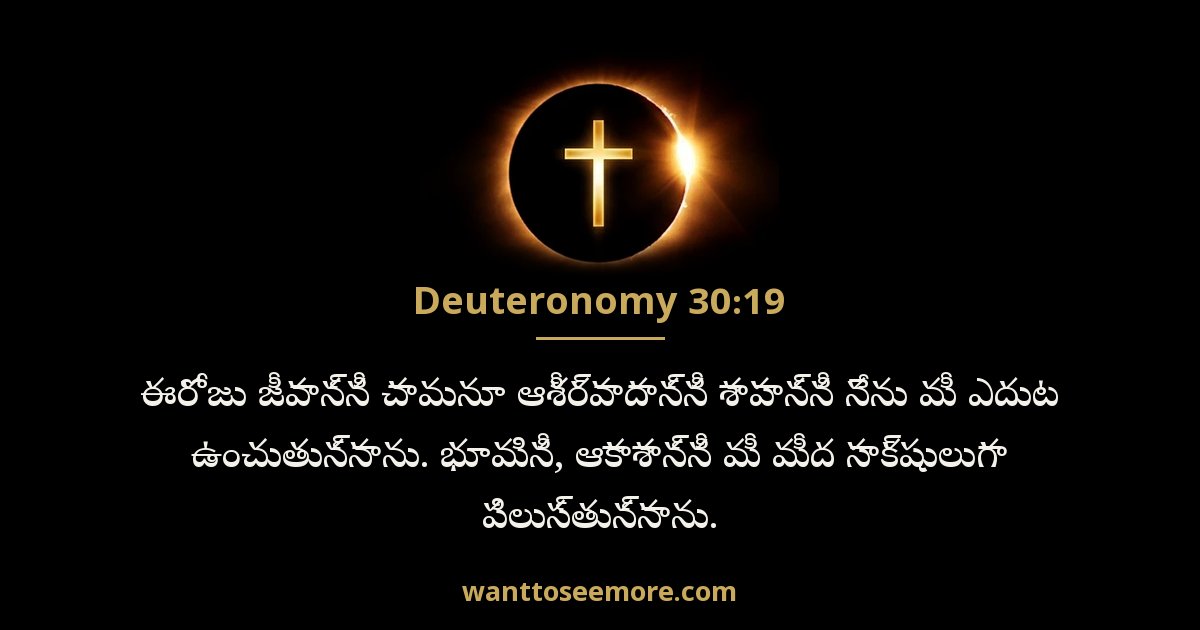 Deuteronomy 30:19