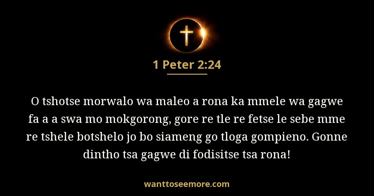 1PE 2:24