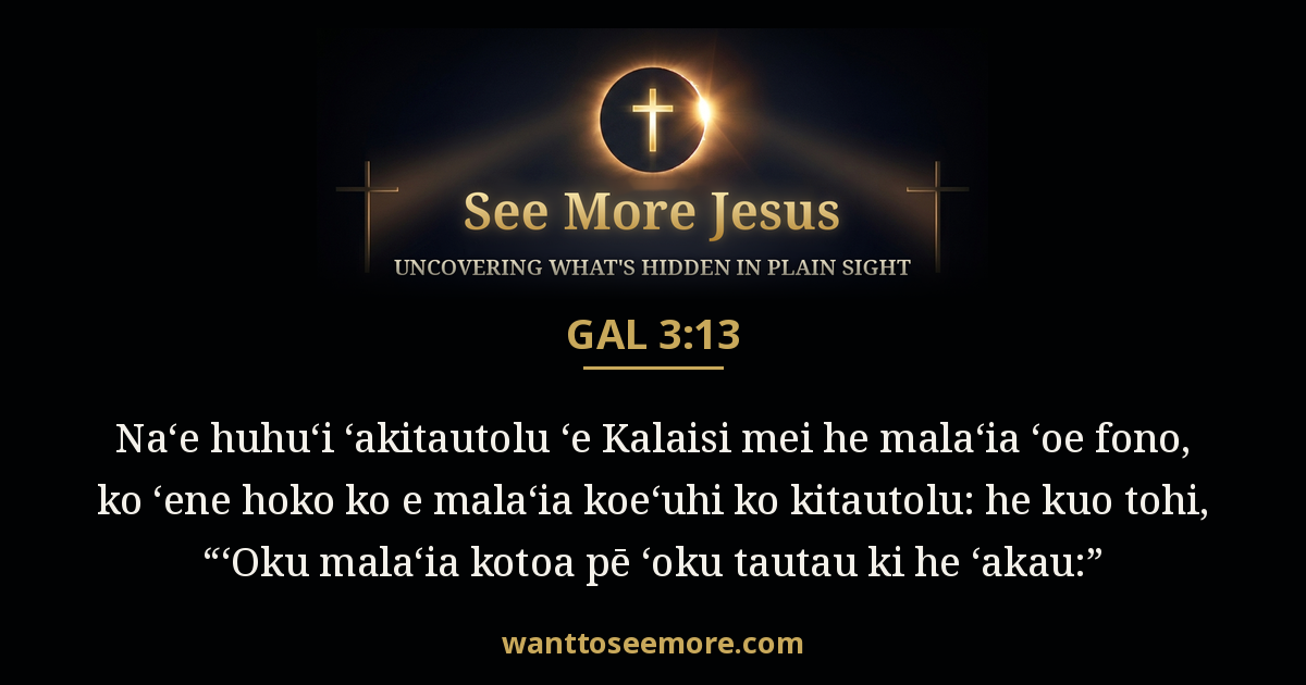 GAL 3:13