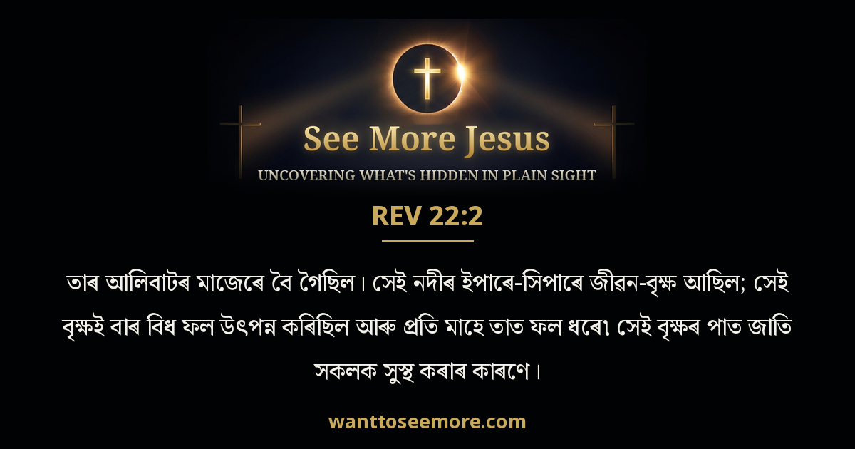 Revelation 22:2