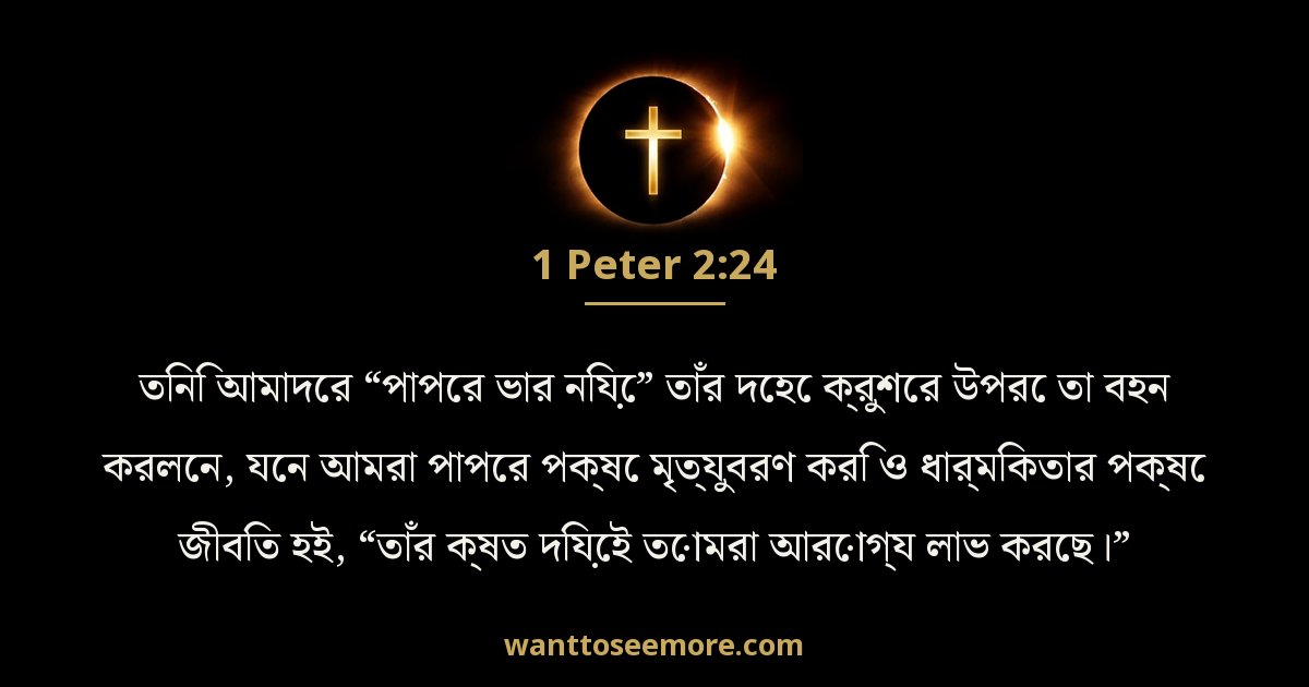 1 Peter 2:24