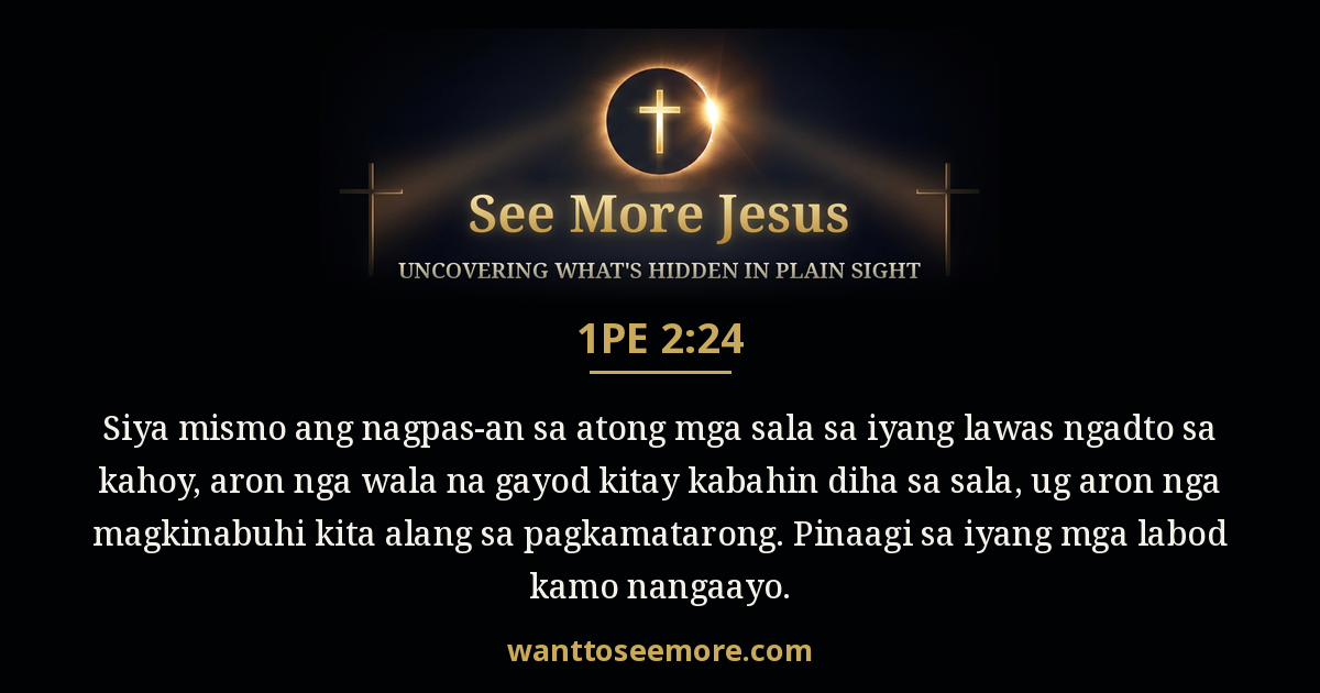 1 Peter 2:24