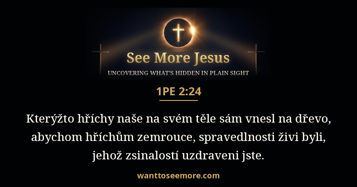 1 Peter 2:24