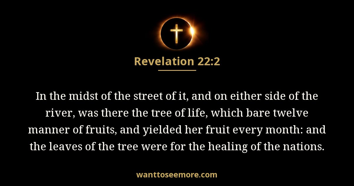 Revelation 22:2