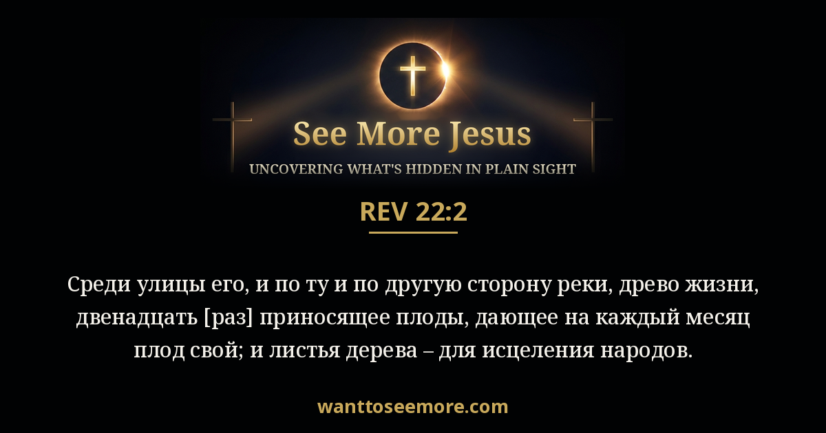 Revelation 22:2