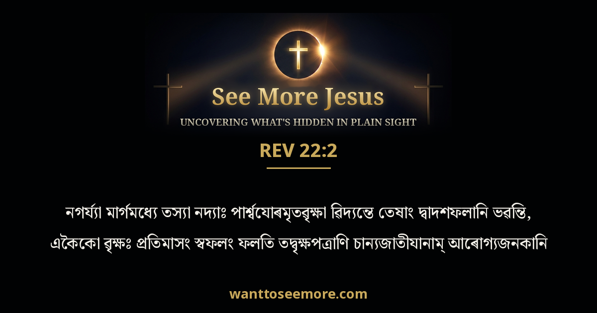 Revelation 22:2