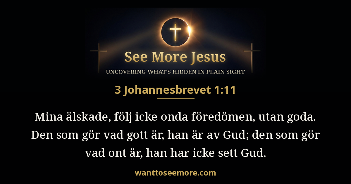 3 John 1:11