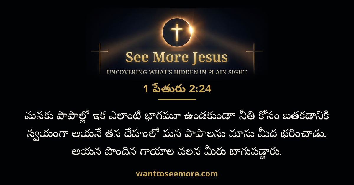 1 Peter 2:24