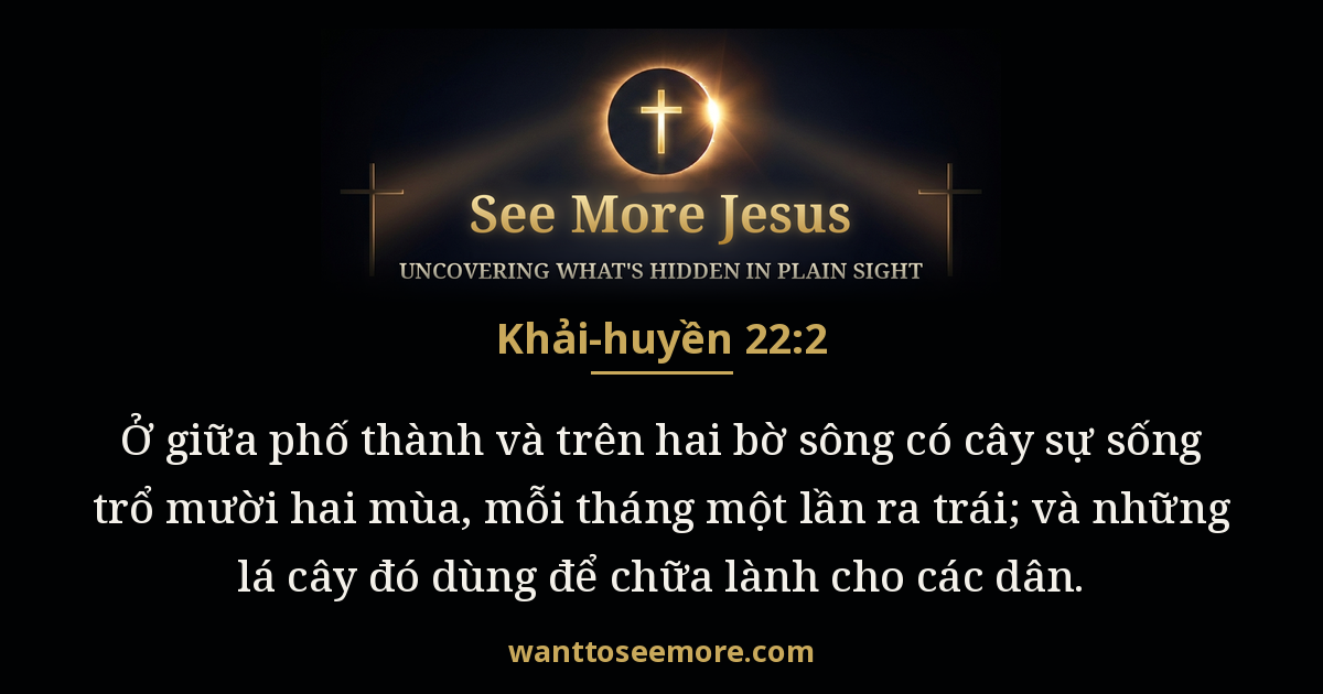 Revelation 22:2
